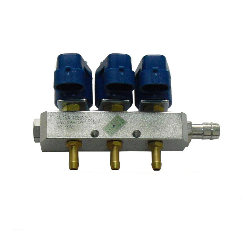 CNG Injector Rail, Compressed Natural Gas Injector Rail, सीएनजी