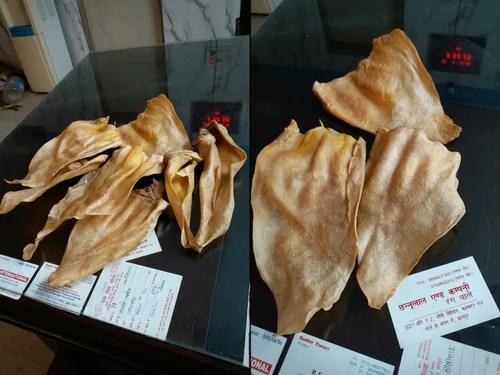 Buffalo Meat Knuckle Meat, Corned Buffalo Manufacturers & Suppliers in India