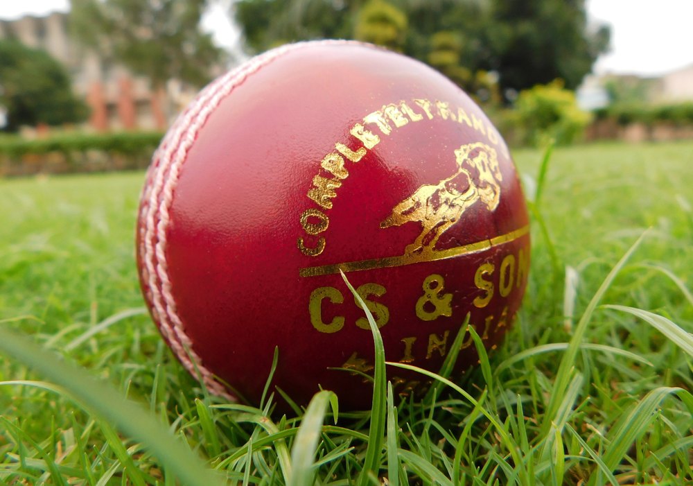 Red Test Match Cricket Leather Ball at best price in Meerut ID
