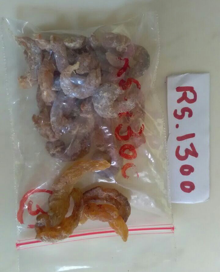Dried Soad Kutta Fish at Rs 1100/bag Nana Peth Pune ID 18731531930