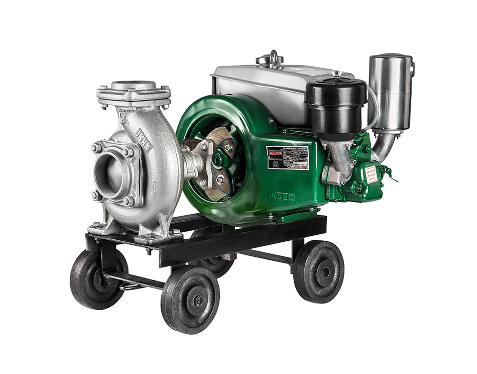 2 5 HP Single Phase Diesel Engine Pumpset 5HP Usha, Rs 21500 /piece
