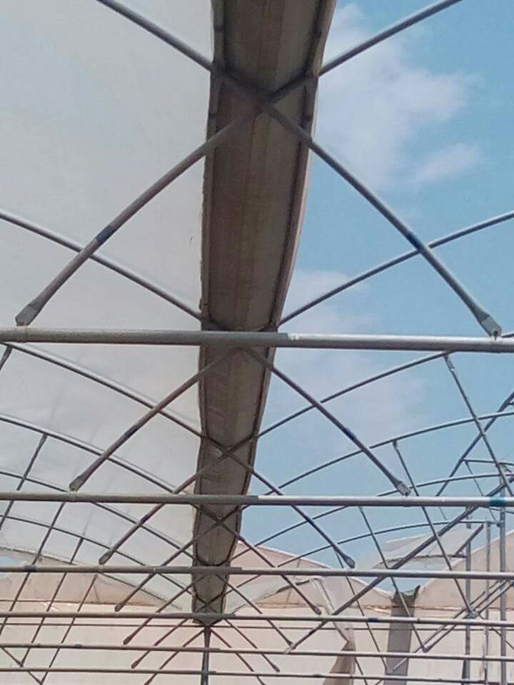 Steel Polyhouse Structure Qatar, Size 1/25inch, Thickness (millimetre