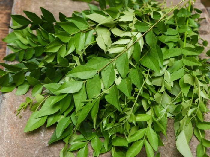 Natural Curry Leaf, Is It Dried Fresh And Dry Also Available, Rs 15