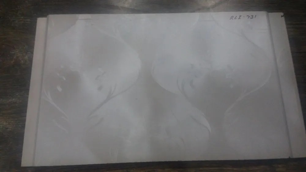 RLI 731 PVC Wall Panel at Rs 24/sq ft Hargobind Singh Nagar