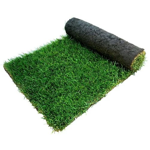 Artificial Turf in Ernakulam, Kerala Get Latest Price from Suppliers