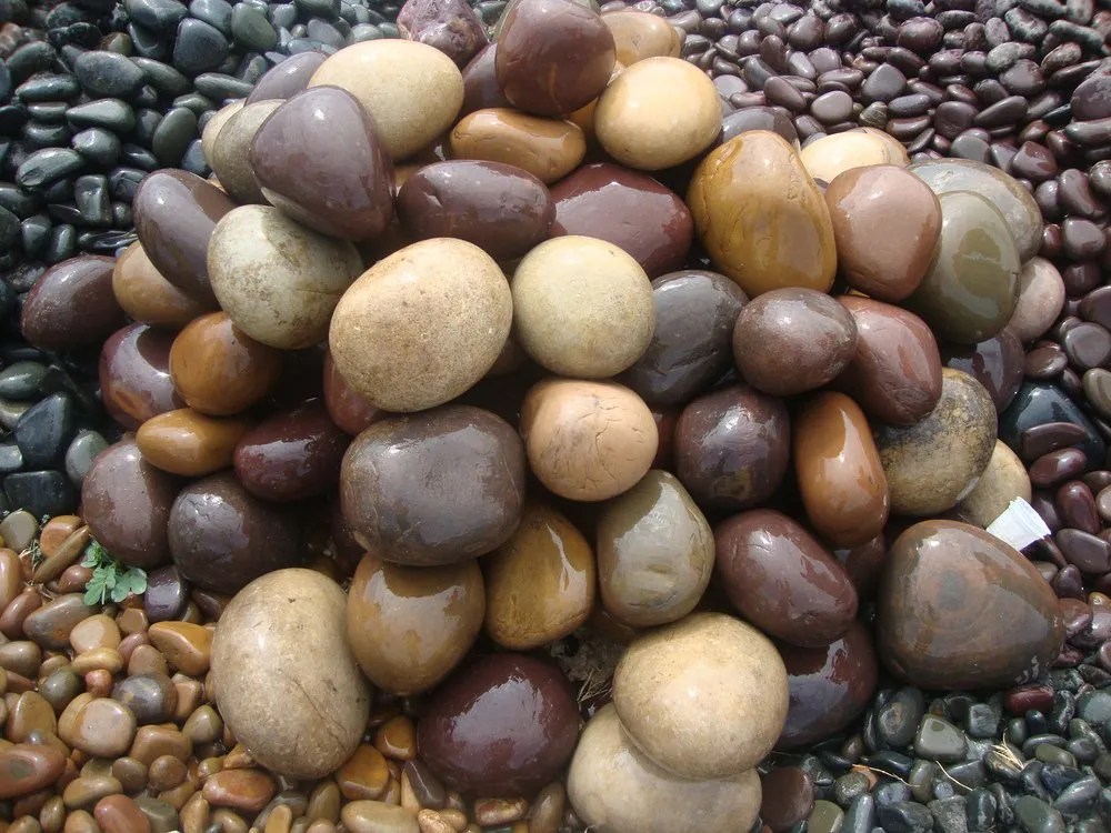 Pebble Stone in Coimbatore, Tamil Nadu Pebble Stone Price in Coimbatore
