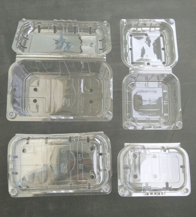 Pet Food Disposable Container at Rs 6/piece PET Food Container in