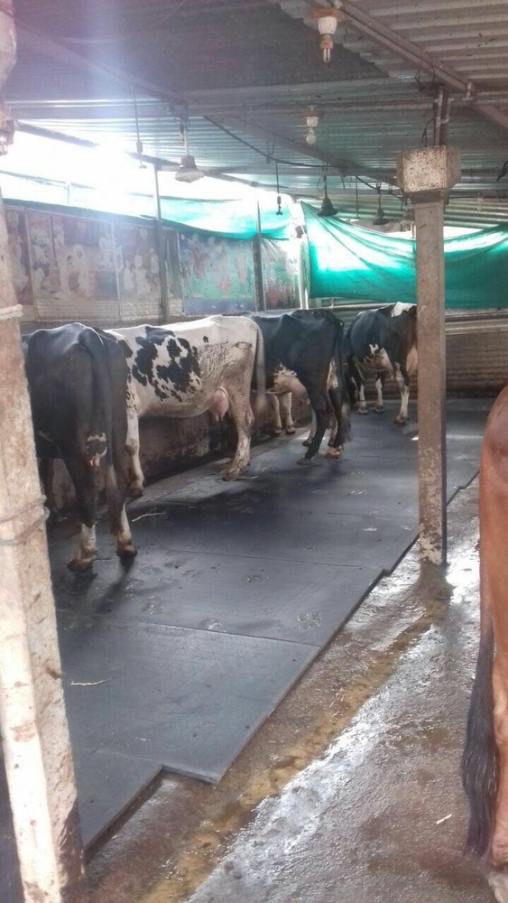 Rubber Cow Mat at best price in Pune ID 17325902148