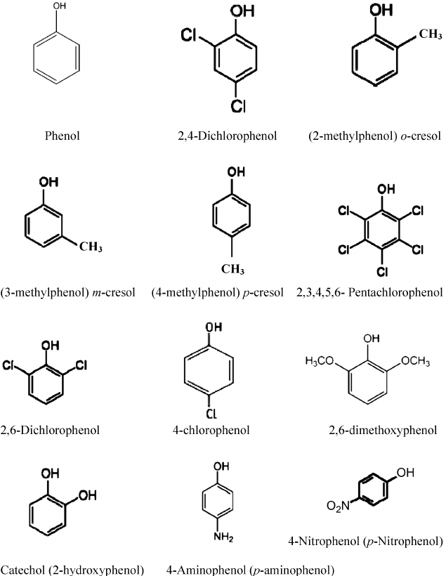 Phenol, 1089502, तरल फिनोल in Lower Parel, Mumbai , SOLVAY