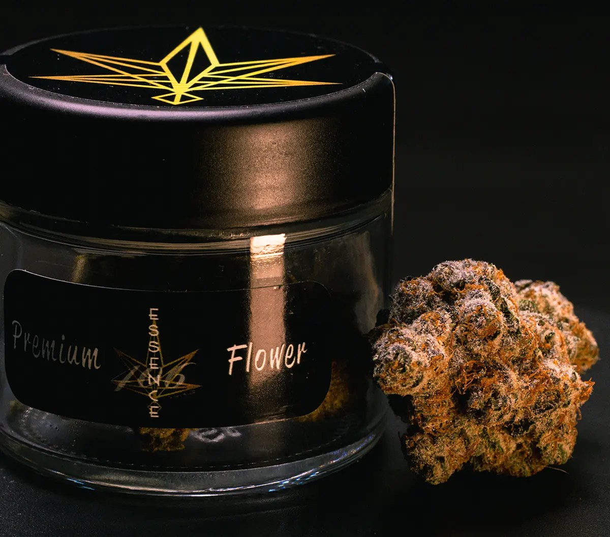 Pie Face 406 Essence of Safe Access, Inc