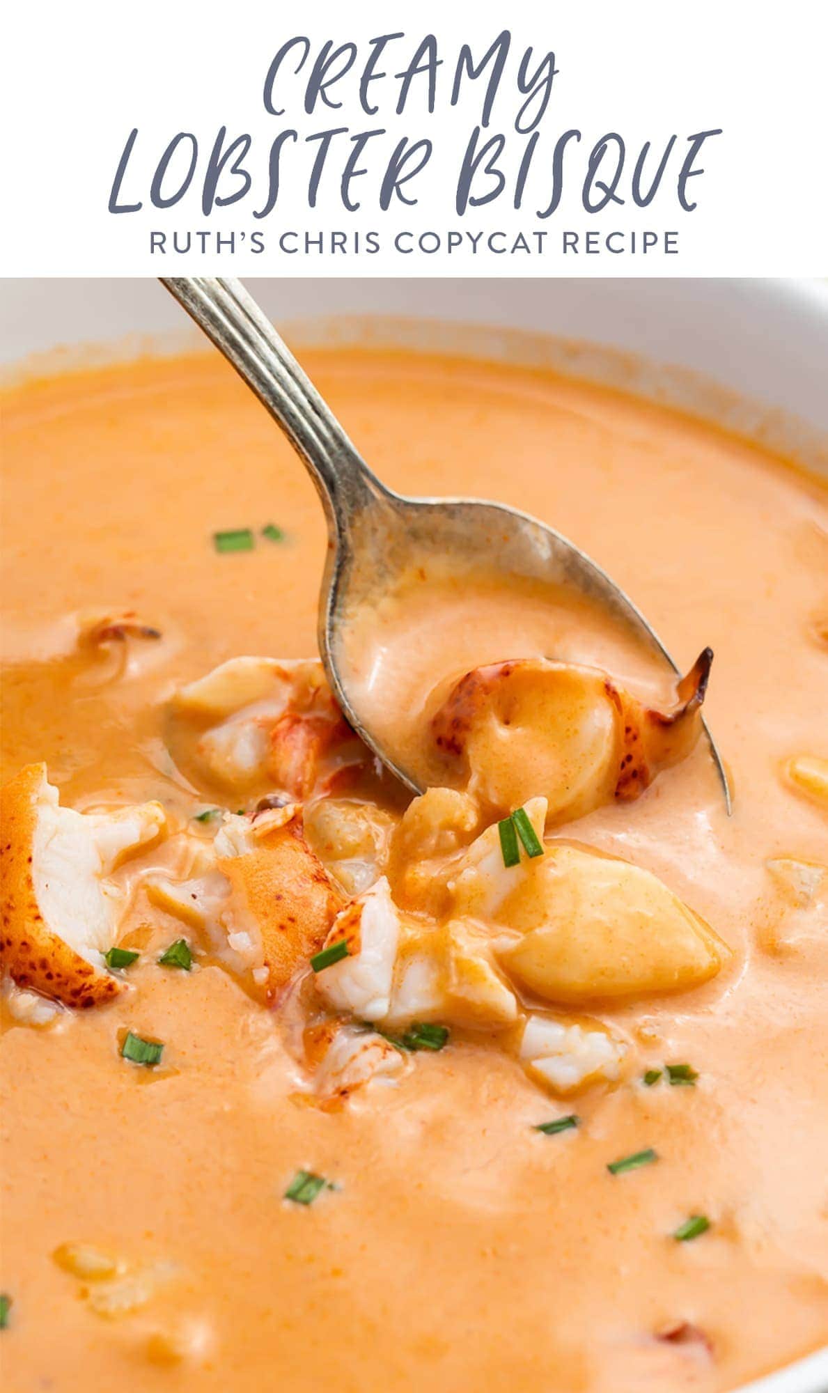 The Best Lobster Bisque (Ruth's Chris Copycat Recipe) 40 Aprons
