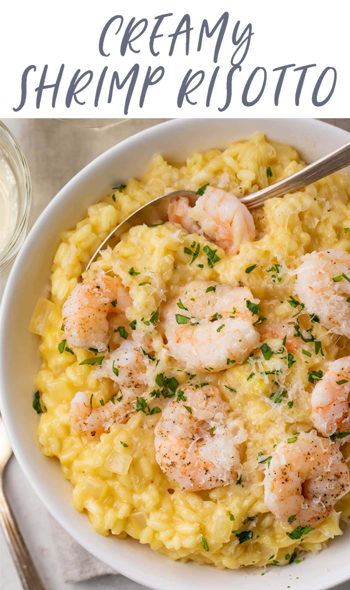 Creamy Shrimp Risotto with Parmesan 40 Aprons