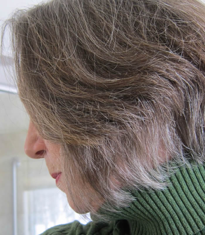 How to transition into gray hair Elaine's journey from colored hair
