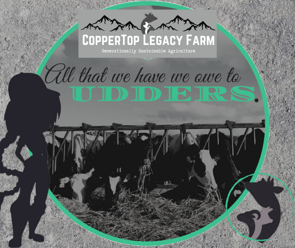 “A Dairy Girl to Start makes a Dairy Girl at Heart” 417 Local Farmer