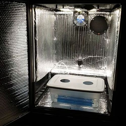 20 Stealth Grow Box Ideas Indoor And Outdoor Grow Ideas (Best Diy