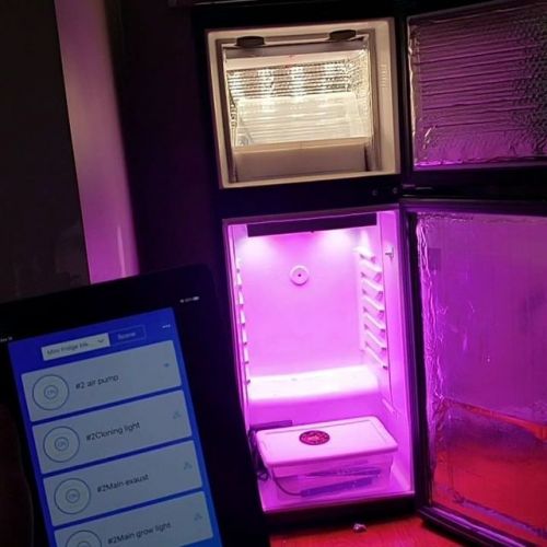 20 Stealth Grow Box Ideas Indoor And Outdoor Grow Ideas (Best Diy