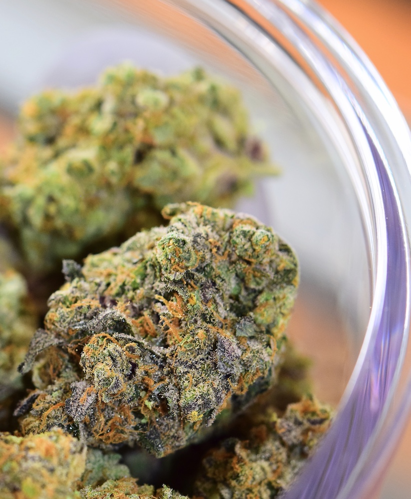 Wolf Pac Cannabis The Best Buds on Federal Boulevard