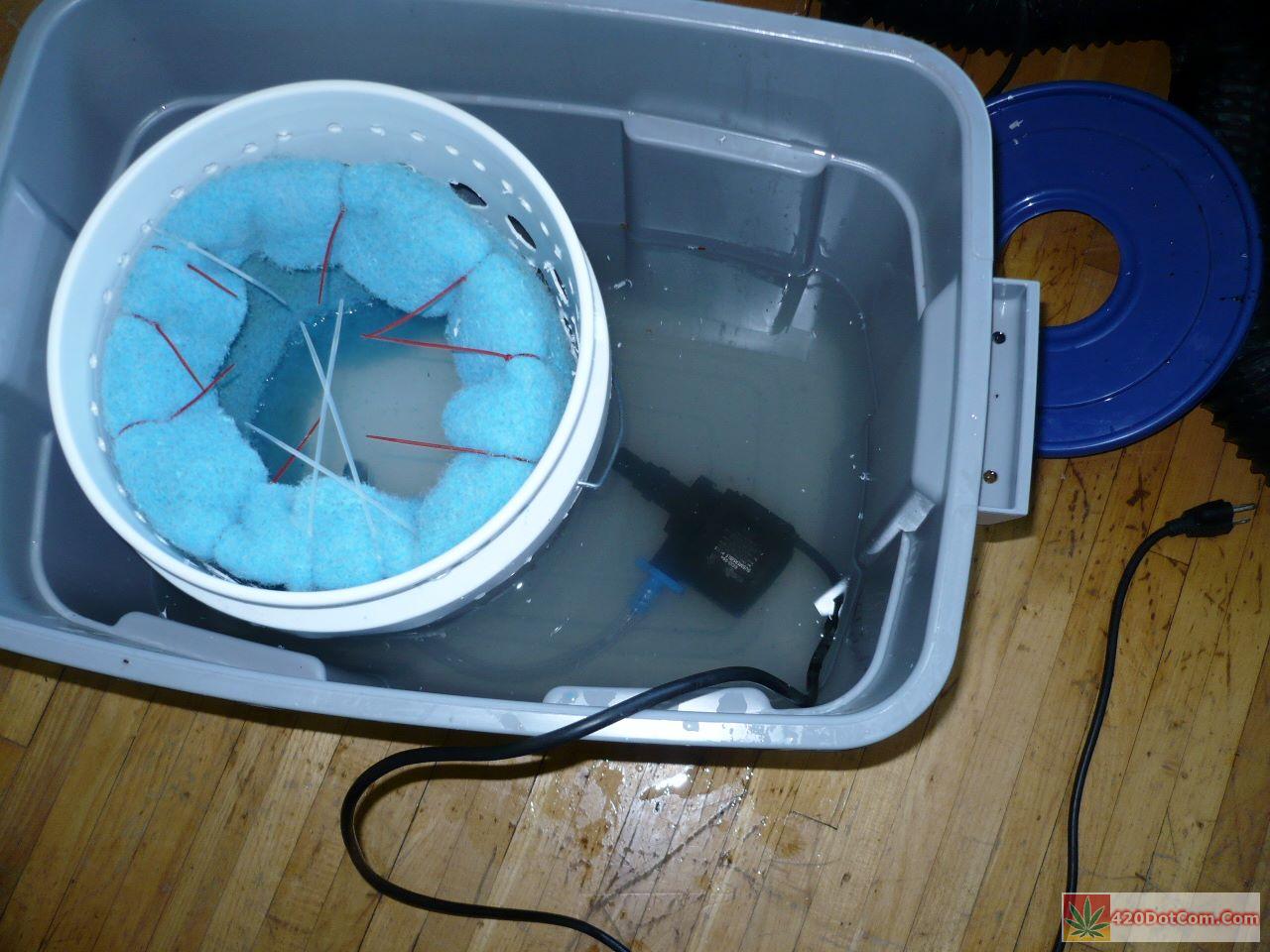 Build A Homemade Swamp Cooler For Your Grow Room How To Grow Weed Indoors