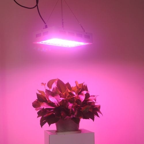 1000 Watt LED Grow Lights Top 5 420 Expert Adviser