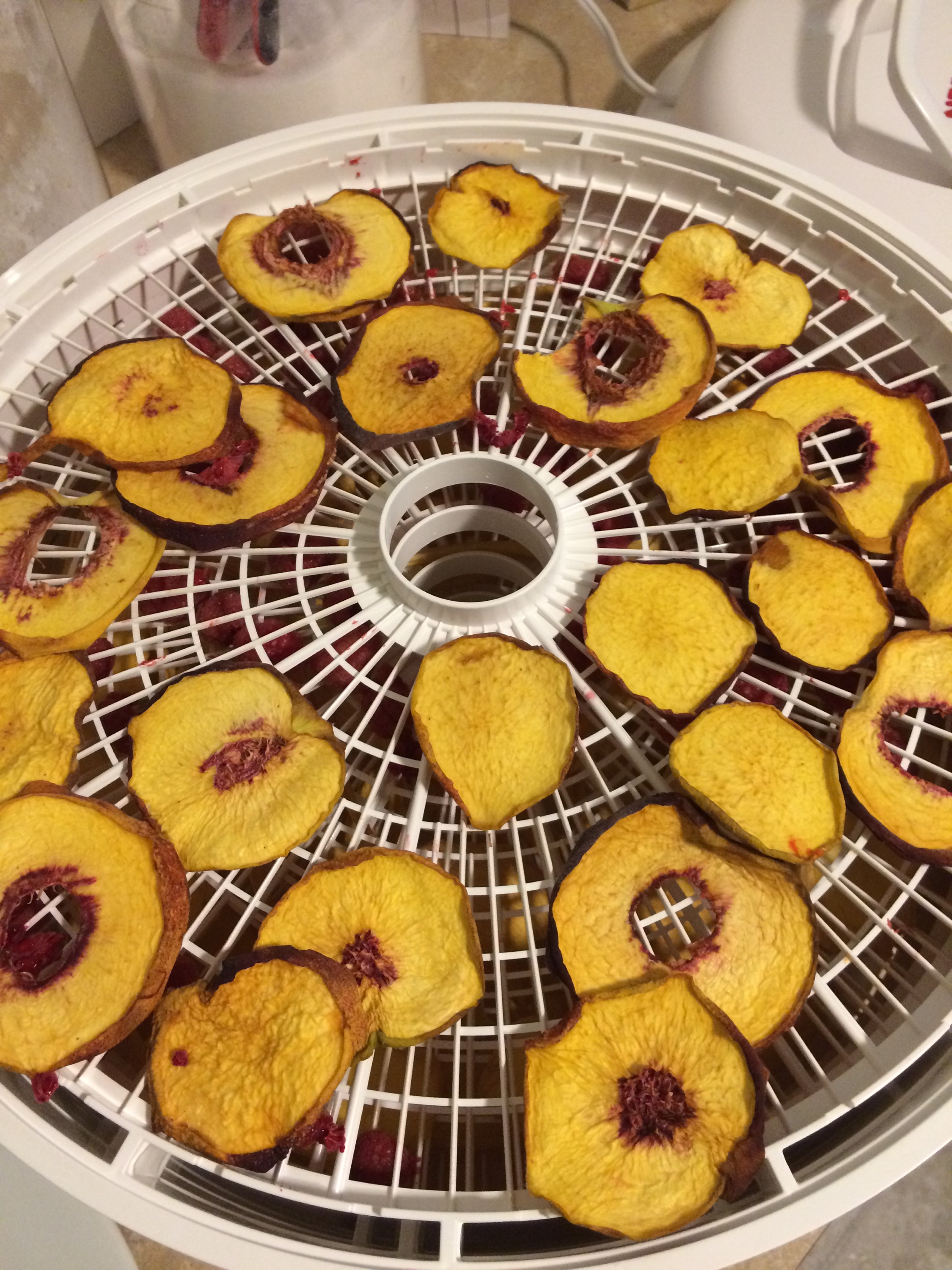 Dried Fruit Four Boots. 2 Packs. 1 Trail