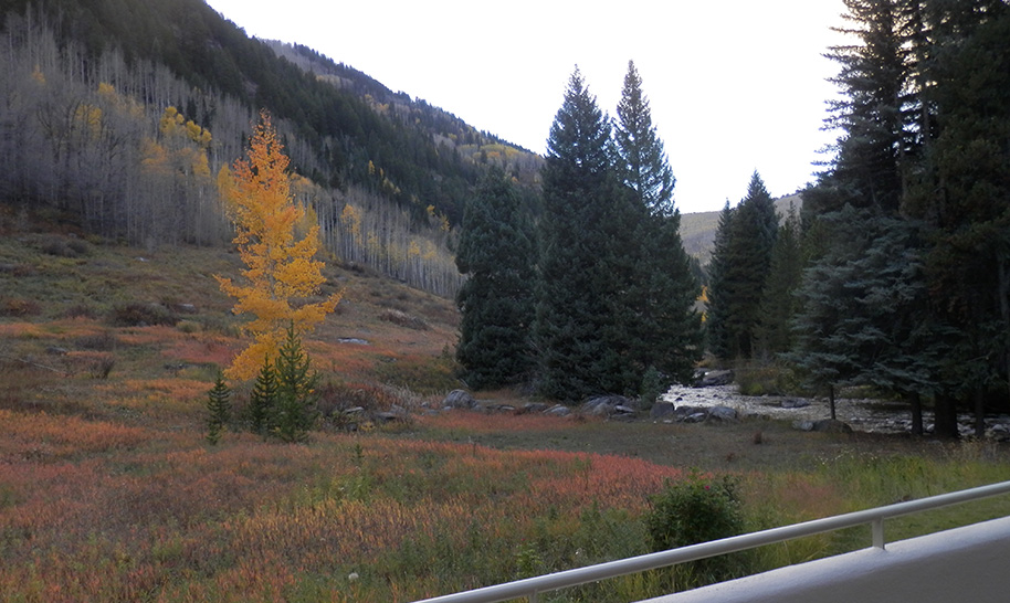 Vail Property Brokerage 2217 Vermont Court Vail, CO 81657 Property