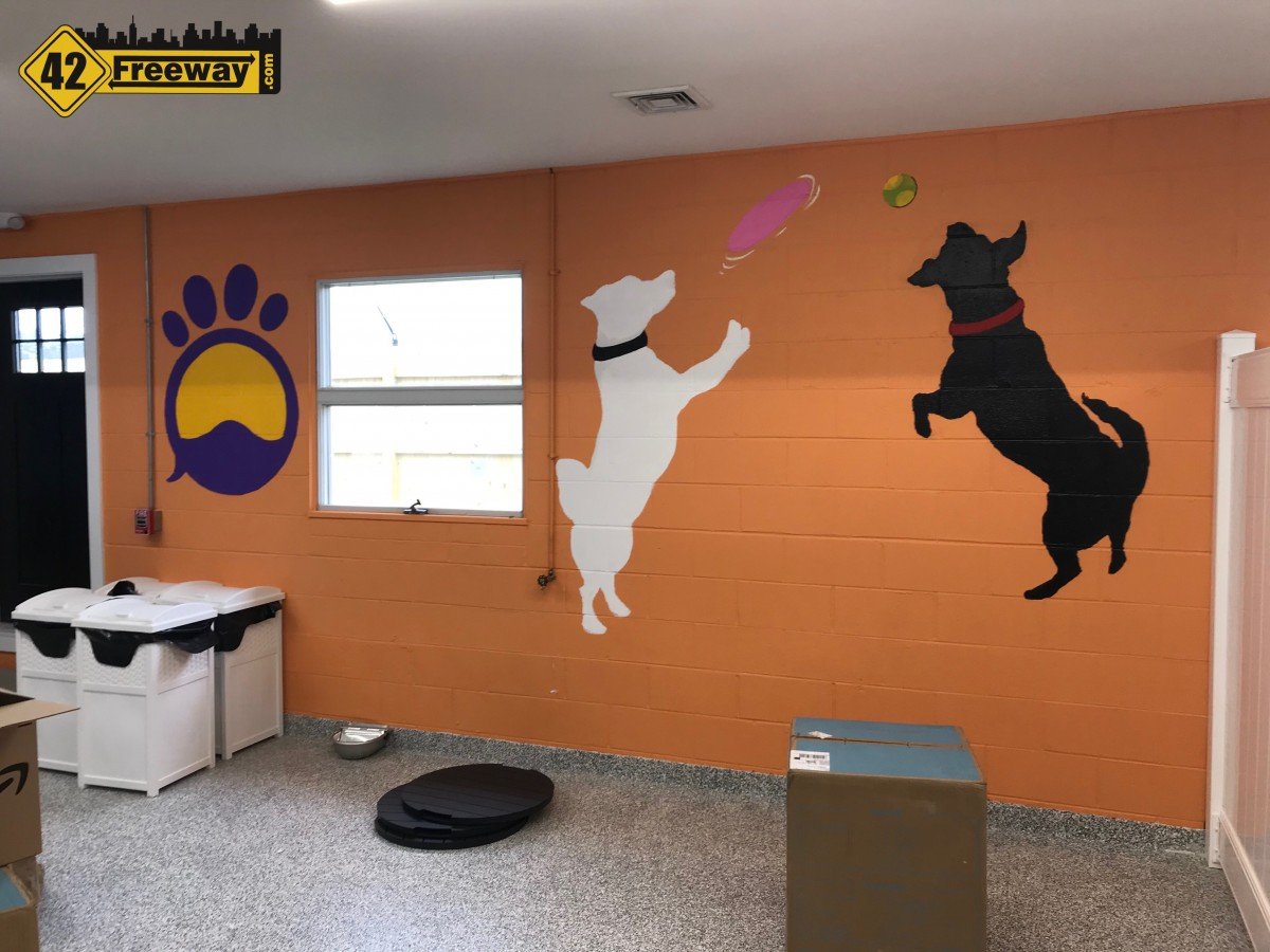 Fetch Pet Resort in Sewell NJ Grand Opening Saturday Feb 8! The Largest