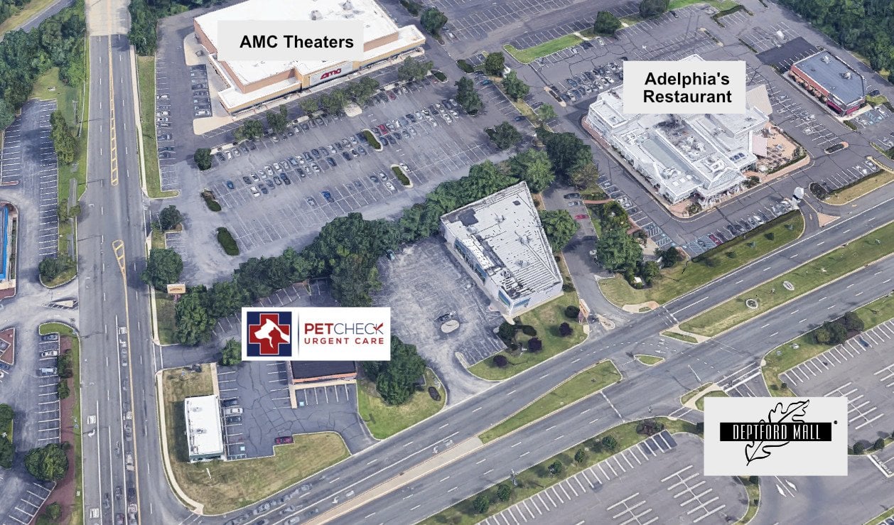 Pet Check Urgent Care Opening Deptford NJ Location. This Second