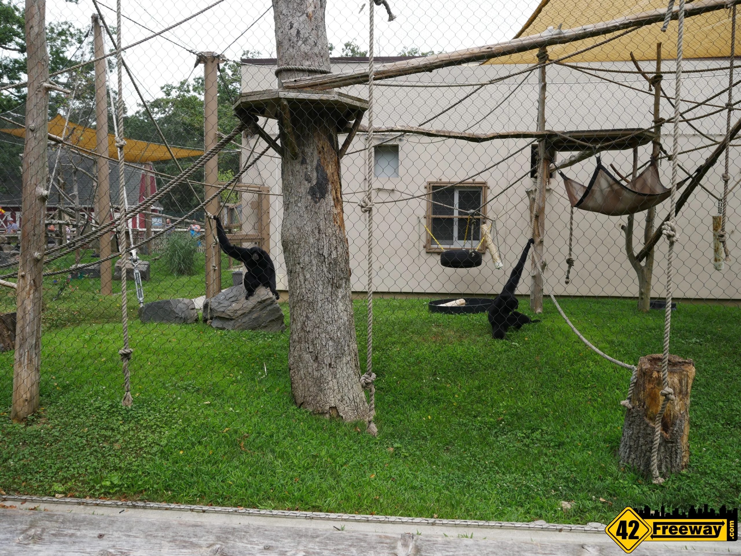 Cape May County Zoo's New Safari Cafe and We Tour The ZOO! 42 Freeway