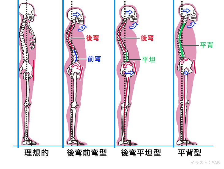 別小看坐姿體前彎！做對能伸展腿部線條、消浮腫| 健康類| 雜誌出版推薦| 華人健康網 骨盤の不良姿勢 | よみもの.Com | 誠文堂新光社