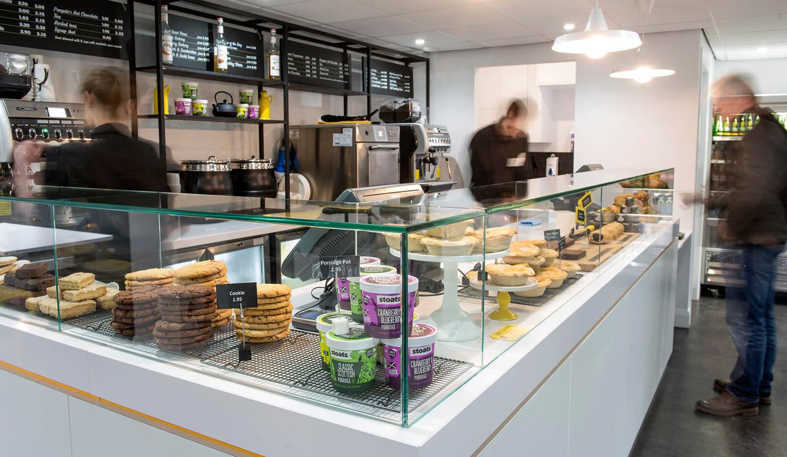 442 Design › Edinburgh Zoo Penguin Café