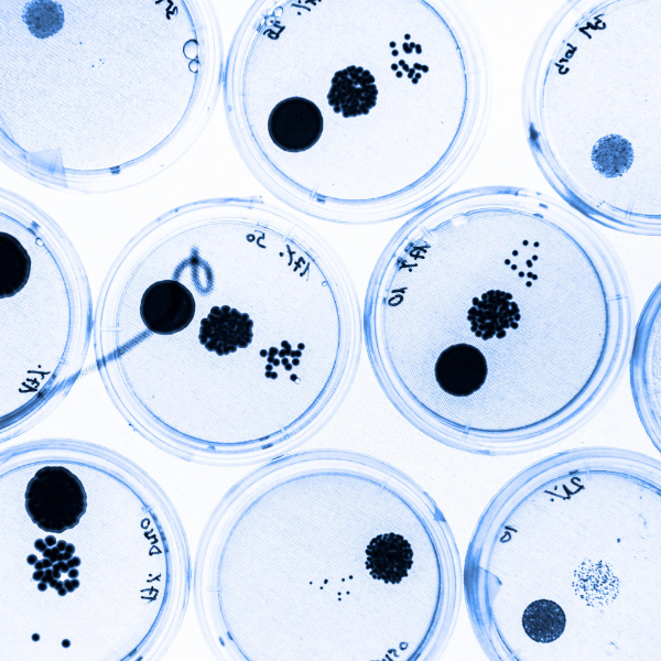 DLI india, Archive, Free Hindi PDF Collection 44Books