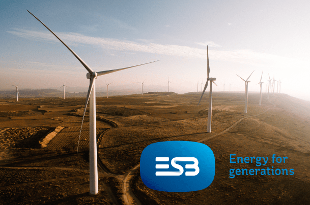 ESB Networks completes process for development of private mobile
