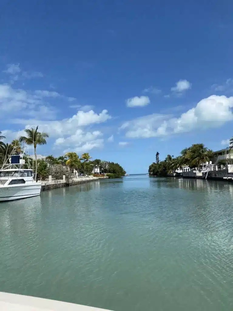 Florida Keys Attractions for Families Your Ultimate Beach Vacation