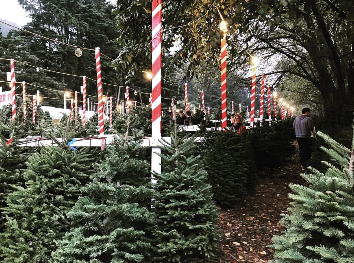 8 Winter Date Ideas in San Francisco