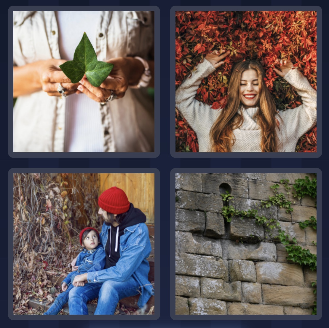 Vier Bilder Ein Wort Bonus Rätsel Bunte Herbstzeit 22 Oktober 2022