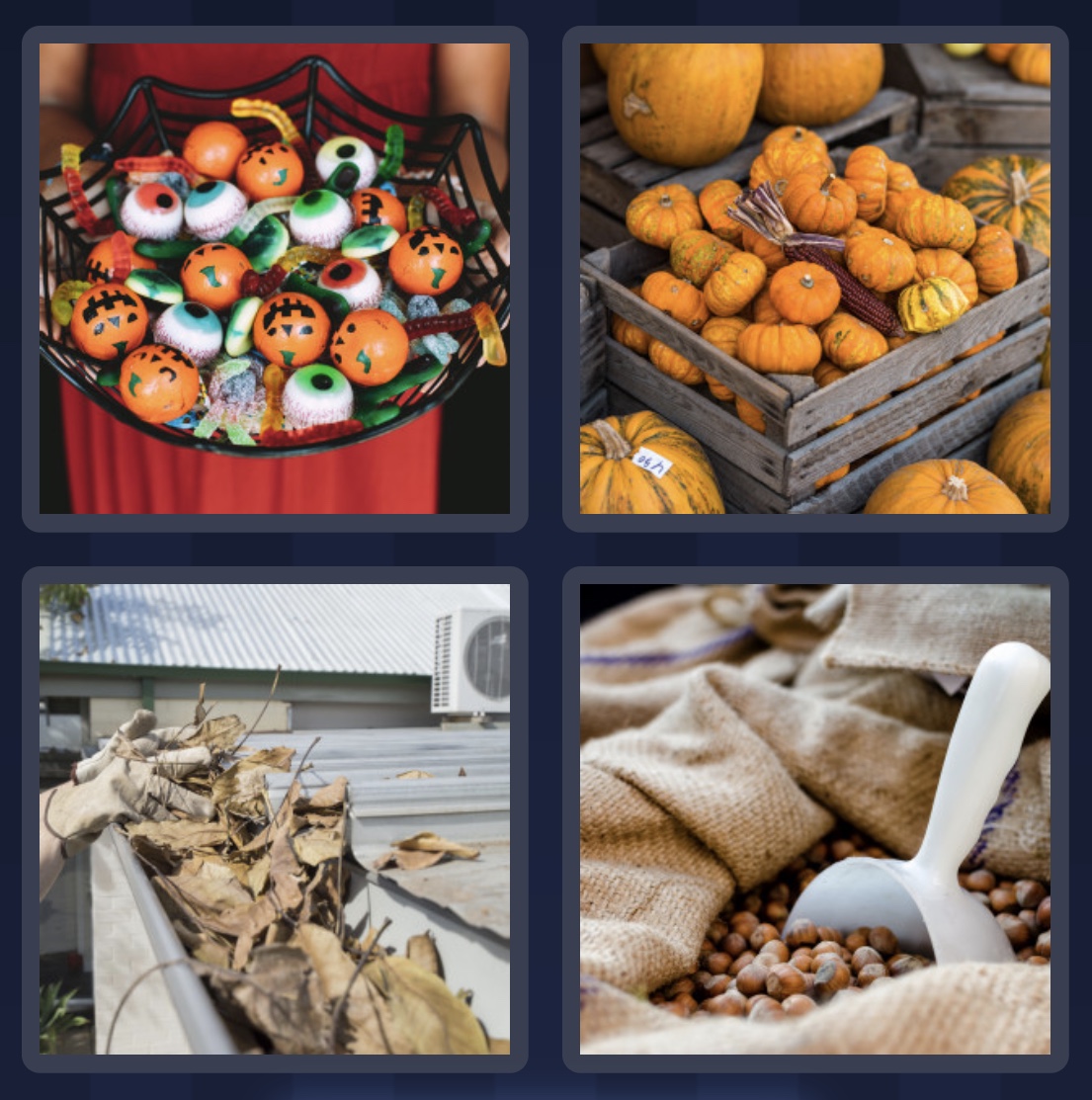 Vier Bilder Ein Wort Bonus Rätsel Bunte Herbstzeit 25 Oktober 2022