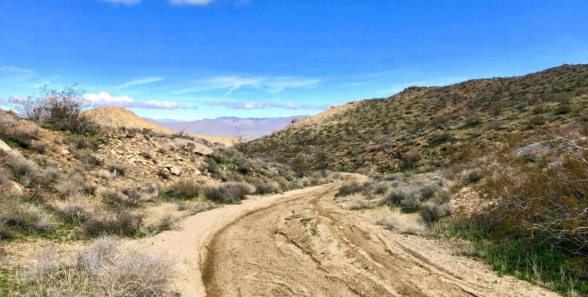 BARSTOW, CA 4 Close Land