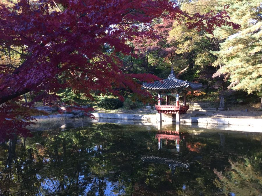The Five Grand Palaces of Seoul which Seoul palaces should you visit