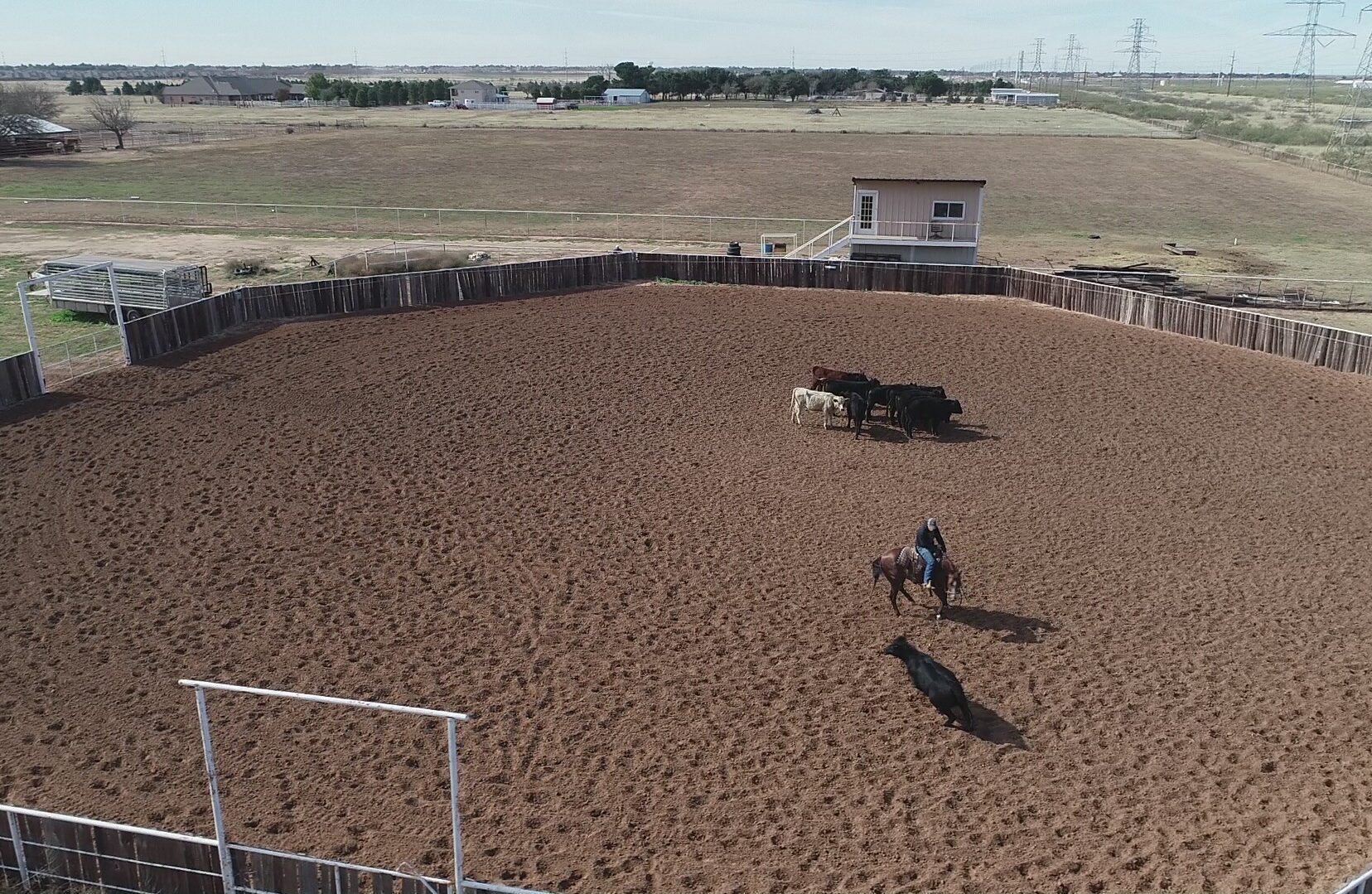 4C Stables Inc Horse Boarding Facility Midland, TX Horse Care for