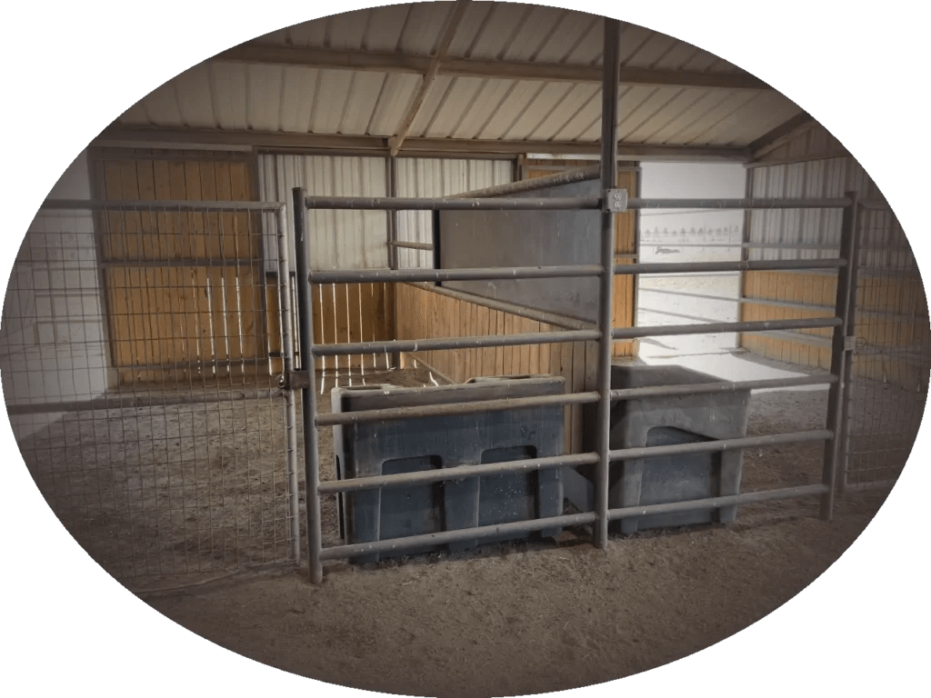 Stall Availability 4C Stables Inc Horse Boarding Facility Midland, TX