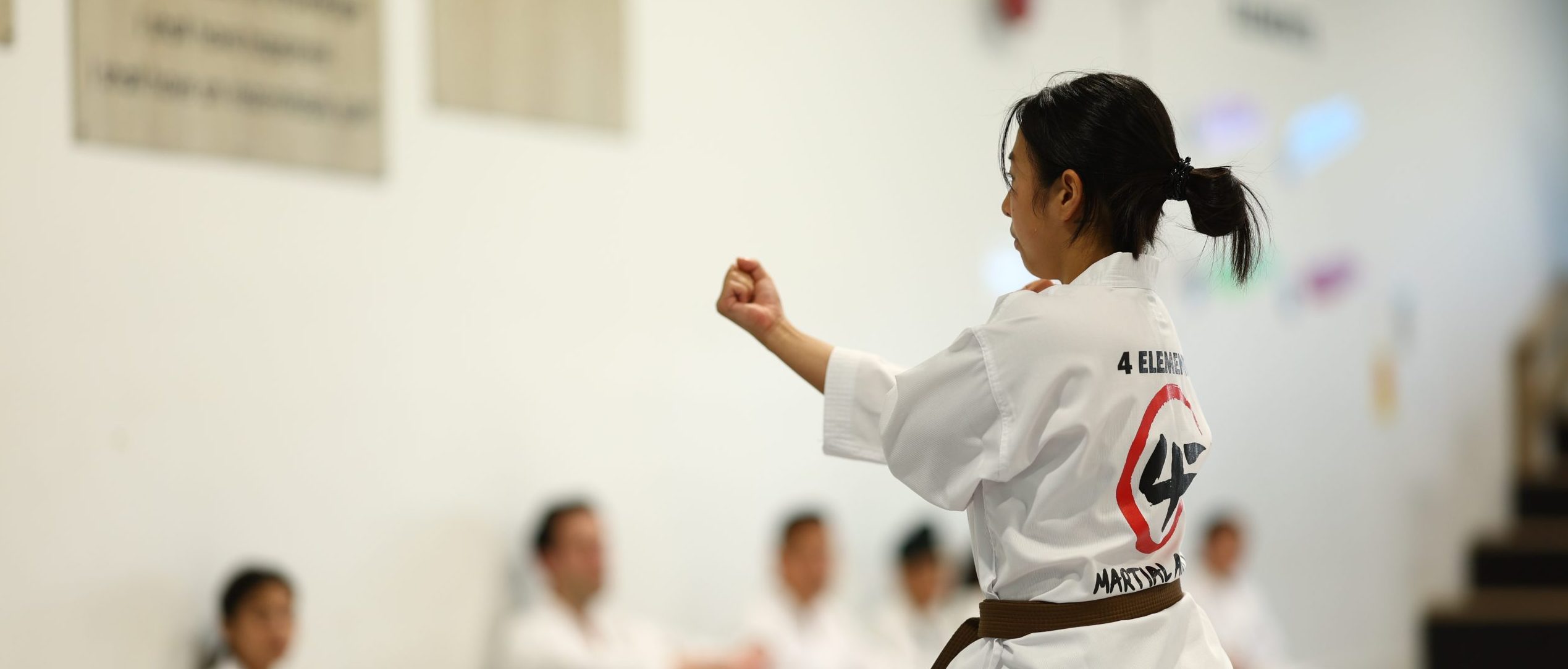 Teens & Adults 4 Elements Martial Arts