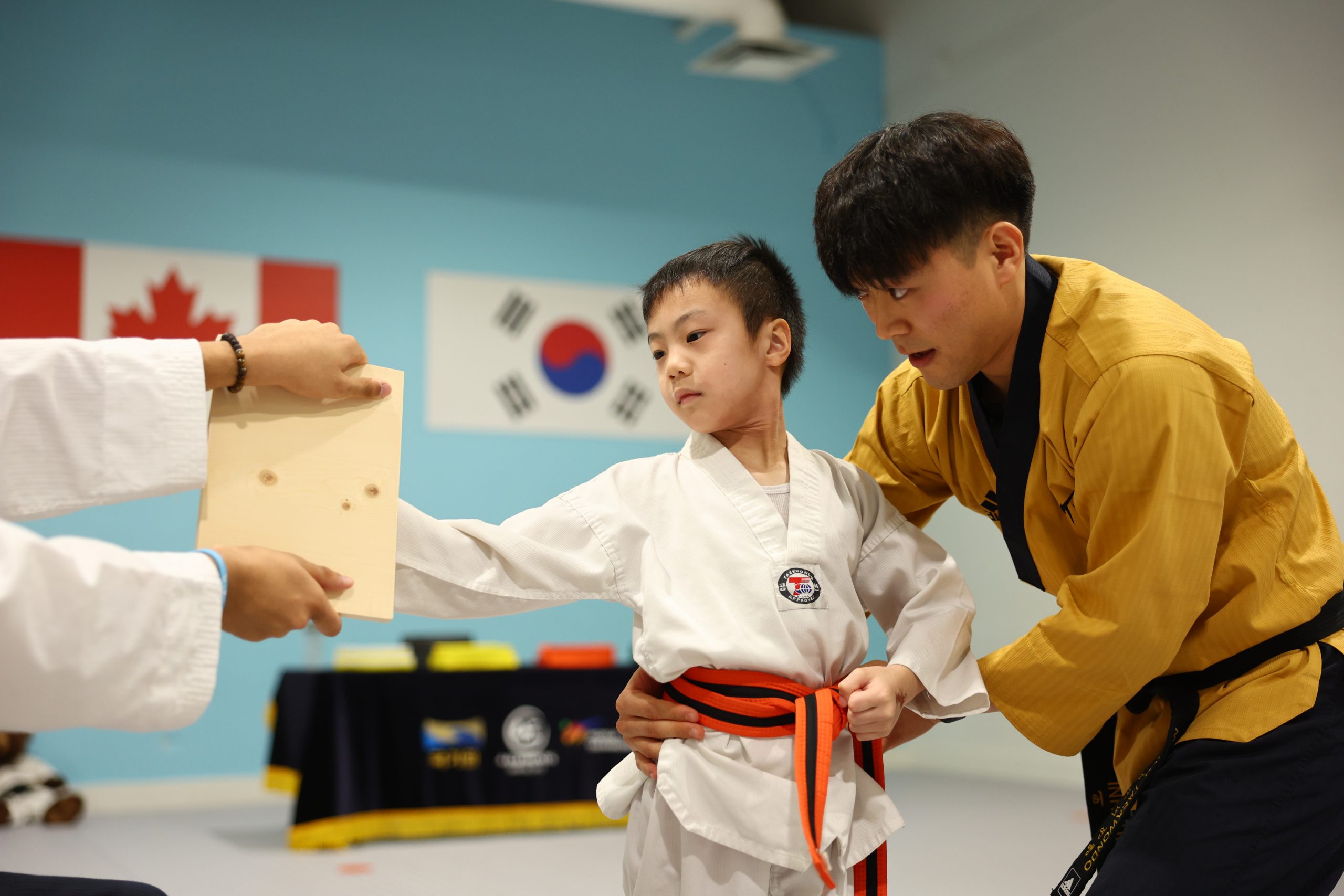 Master Hur 4 Elements Martial Arts