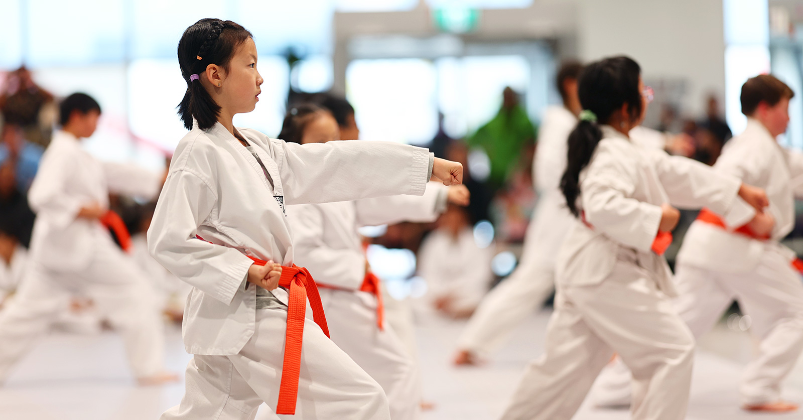 Poomsae 4 Elements Martial Arts