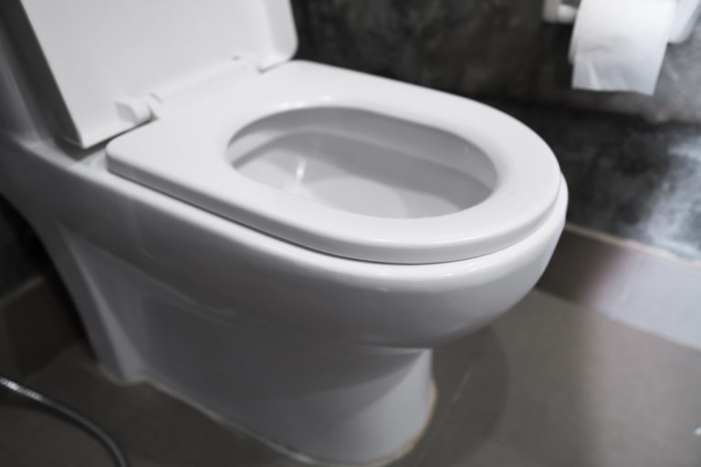 9 Types Of Toilets And Which Is Best For You (Pros & Cons)