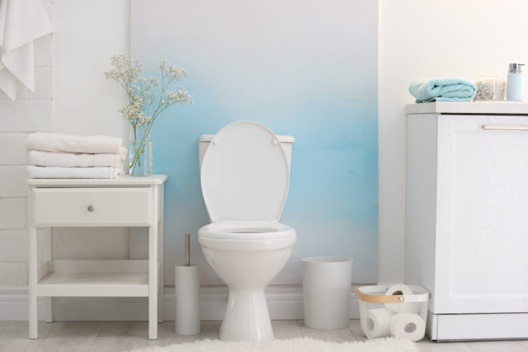 9 Types Of Toilets And Which Is Best For You (Pros & Cons)