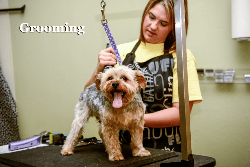 Home Four Paws Pet Resort