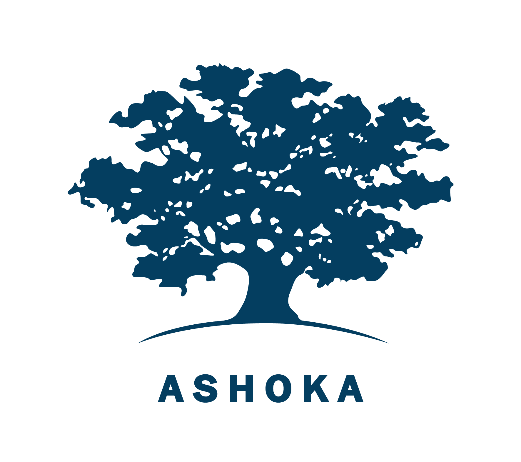 Ashoka Netherlands The 4 Returns Community Platform