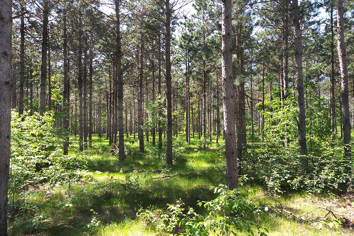 Central Wisconsin Real Estate for Sale 4Rivers Realty