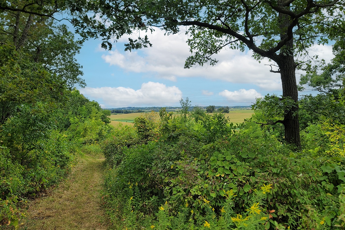 Central Wisconsin Real Estate for Sale 4Rivers Realty