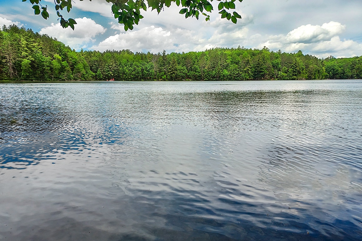Northern WI Secluded Lakefront Property Rhinelander, WI Area